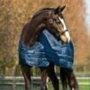 Horseware Liner 200g