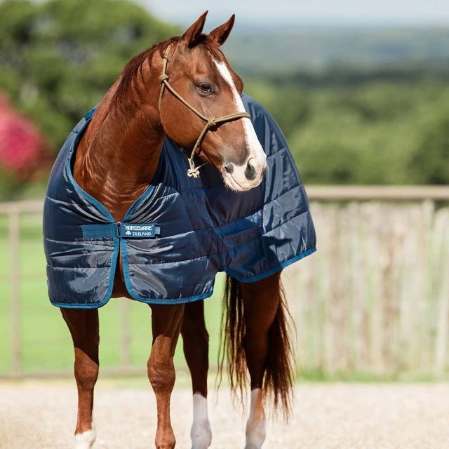 Horseware Liner 100g 1 Horseware Liner 100g