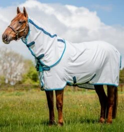 Amigo Aussie All Rounder (Disc Front) -Equestrian Supply Store 13350c
