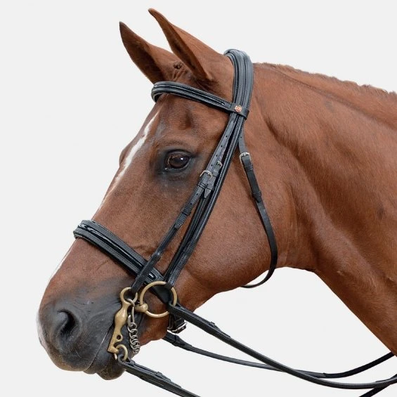 Albion KB Weymouth Headstall - Super 1 Albion KB Weymouth Headstall - Super