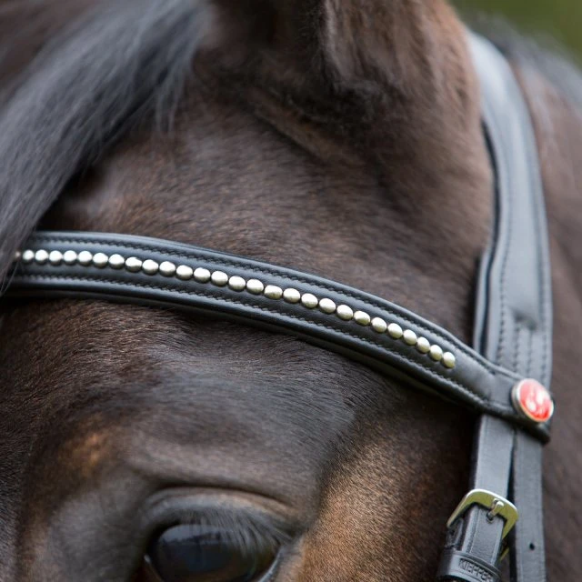 Kieffer Ultrasoft Flash Bridle 2 Kieffer Ultrasoft Flash Bridle - Image 2
