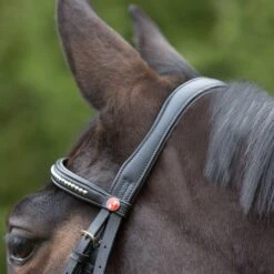 Kieffer Ultrasoft Flash Bridle 6 Kieffer Ultrasoft Flash Bridle -Equestrian Supply Store 13637c