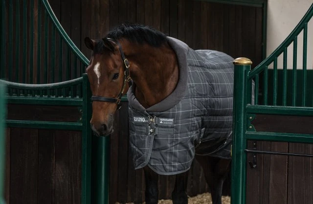 Rhino Original Stable Medium VL 2 Rhino Original Stable Medium VL - Image 2