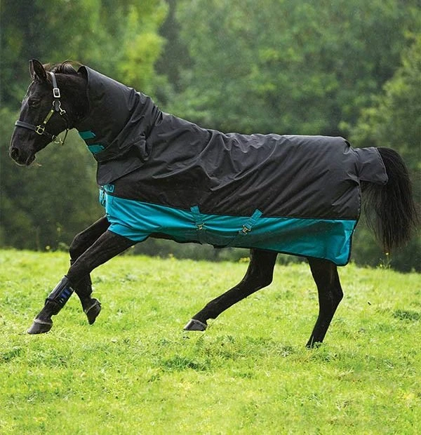 Amigo Mio All In One Medium 1 Amigo Mio All In One Medium