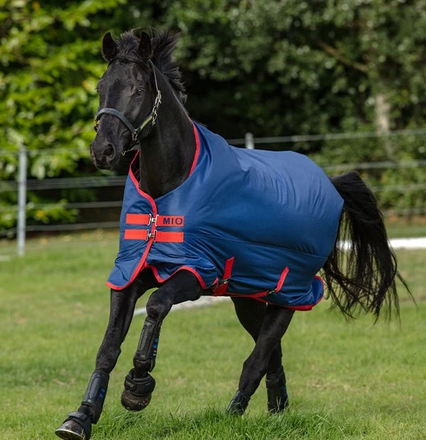 Amigo Mio Turnout Lite 1 Amigo Mio Turnout Lite