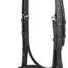 Ecorider Show Comfort Bridle