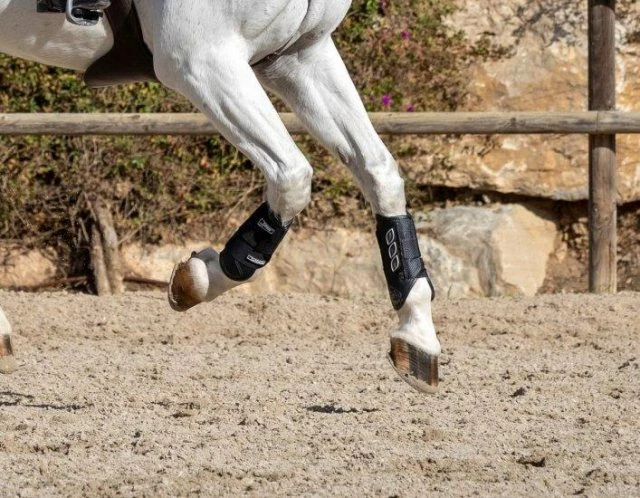 LeMieux Carbon Air XC Boots - Front 2 LeMieux Carbon Air XC Boots - Front - Image 2