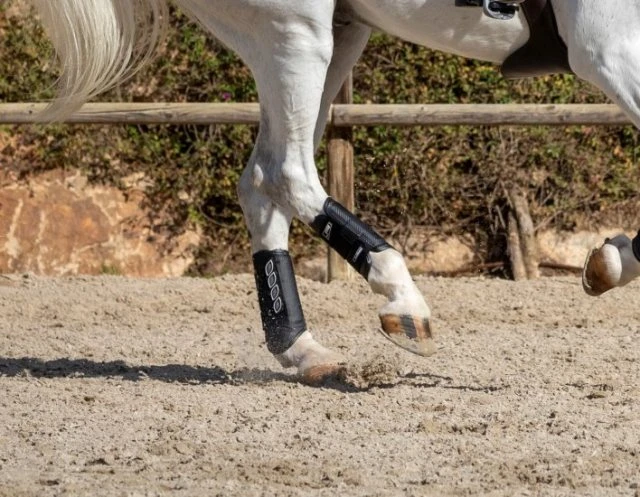 LeMieux Carbon Air XC Boots - Hind 2 LeMieux Carbon Air XC Boots - Hind - Image 2