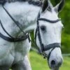 Fairfax Flash Noseband