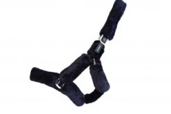 Ecorider Deluxe Headcollar 8 Ecorider Deluxe Headcollar -Equestrian Supply Store 14207c