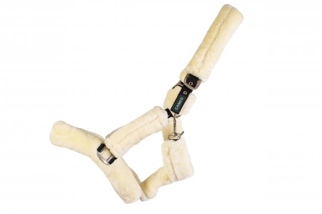 Ecorider Deluxe Headcollar 4 Ecorider Deluxe Headcollar - Image 4