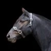 Ecorider Leather Headcollar