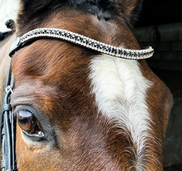Ecorider Freedom Juliette Browband 1 Ecorider Freedom Juliette Browband