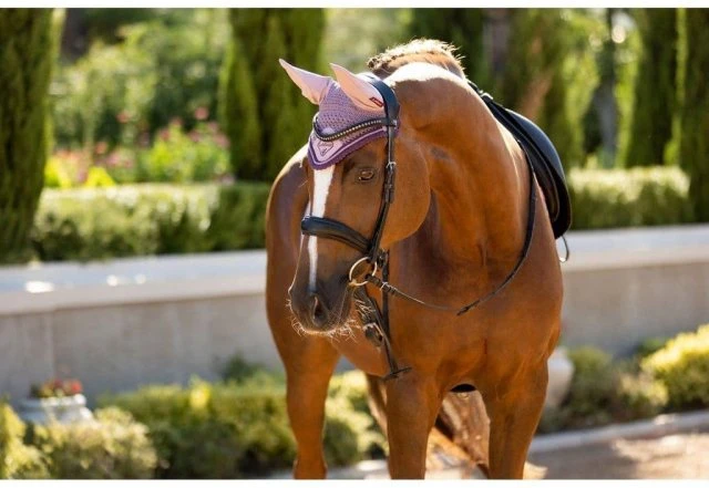 LeMieux Classic Lycra Fly Hood - Musk 2 LeMieux Classic Lycra Fly Hood - Musk - Image 2