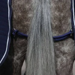 Weatherbeeta Thermocell Cooler Standard Neck -Equestrian Supply Store 14558e