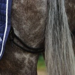 Weatherbeeta Thermocell Quarter Sheet -Equestrian Supply Store 14559c