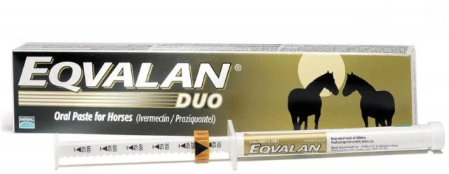Eqvalan Duo 1 Eqvalan Duo
