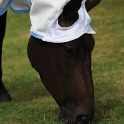 Weatherbeeta Comfitec Sweet Itch Shield Combo Neck -Equestrian Supply Store 14618d