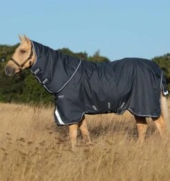 Amigo Bravo 12 Plus Turnout Heavy -Equestrian Supply Store 15056c