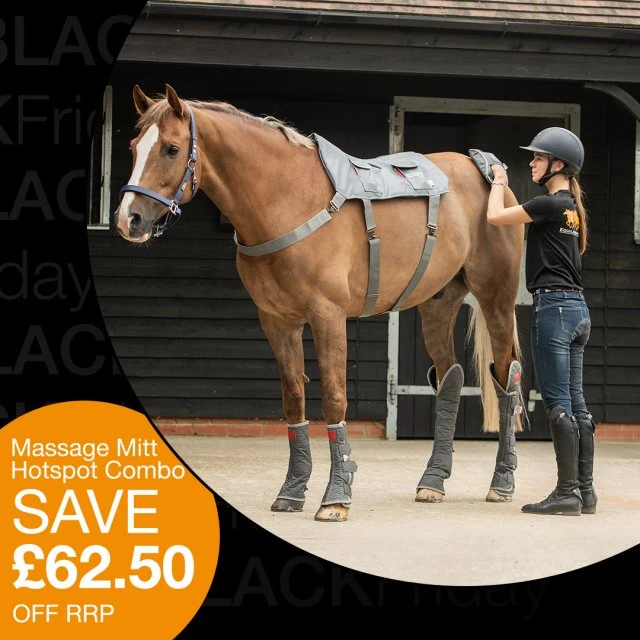 Equilibrium Massage Pad + Hotspot Combo Pack 1 Equilibrium Massage Pad + Hotspot Combo Pack