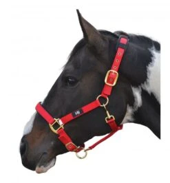 Hy Deluxe Padded Headcollar