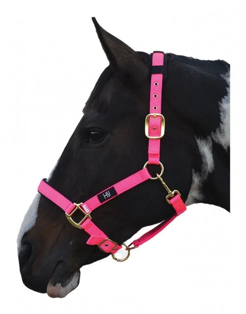 Hy Deluxe Padded Headcollar 2 Hy Deluxe Padded Headcollar - Image 2