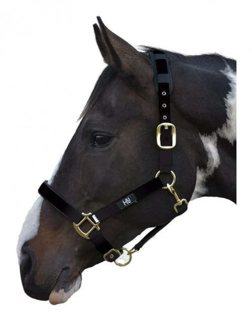 Hy Deluxe Padded Headcollar 3 Hy Deluxe Padded Headcollar - Image 3