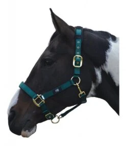 Hy Deluxe Padded Headcollar 8 Hy Deluxe Padded Headcollar -Equestrian Supply Store 15407d