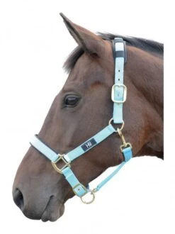 Hy Deluxe Padded Headcollar 9 Hy Deluxe Padded Headcollar -Equestrian Supply Store 15407e