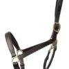 Hy Coldstream Padded Leather Head Collar