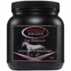 Omega Equine Digest Gut Balancer