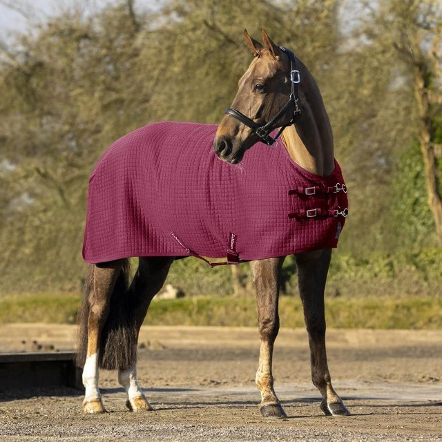 LeMieux Arika Clima-Tek Rug 2 LeMieux Arika Clima-Tek Rug - Image 2