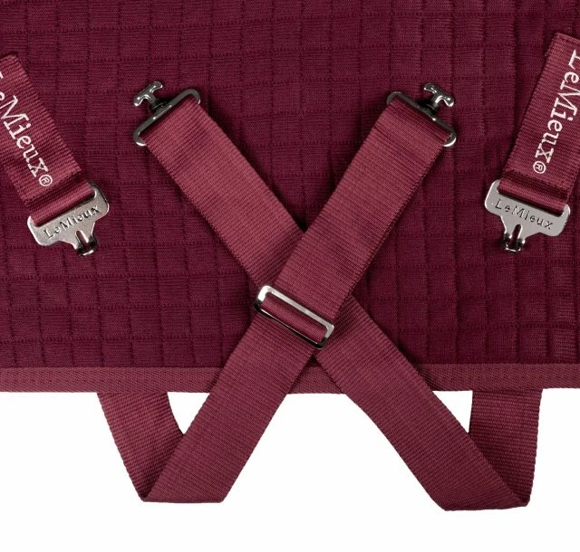 LeMieux Arika Clima-Tek Rug 6 LeMieux Arika Clima-Tek Rug - Image 6