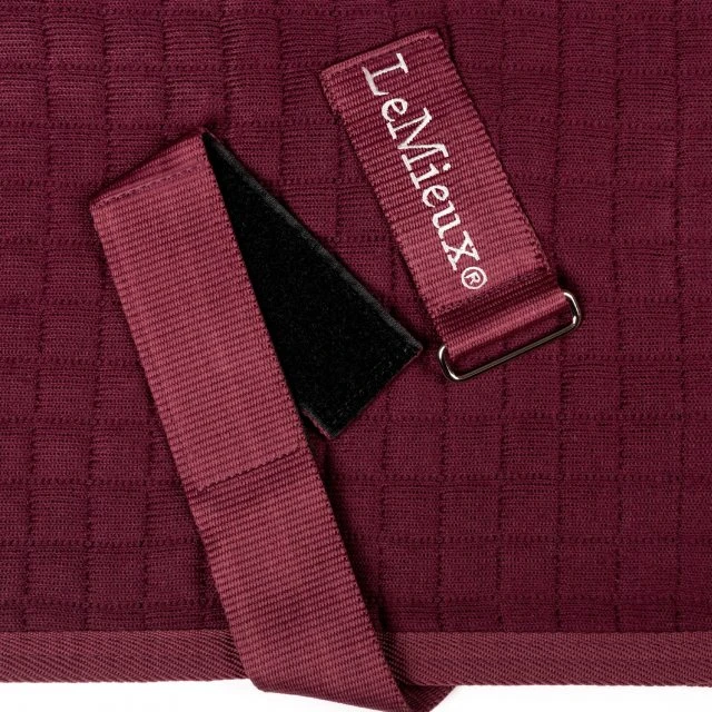 LeMieux Arika Clima-Tek Rug 7 LeMieux Arika Clima-Tek Rug - Image 7