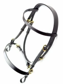 Dever Classic In Hand Bridle