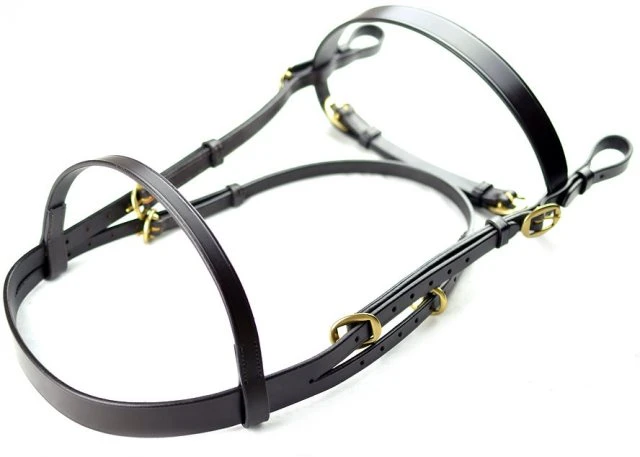 Dever Classic In Hand Bridle 2 Dever Classic In Hand Bridle - Image 2