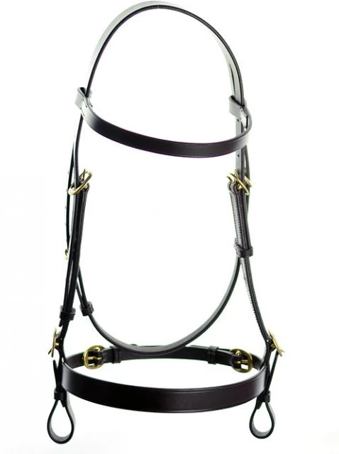 Dever Classic In Hand Bridle 3 Dever Classic In Hand Bridle - Image 3