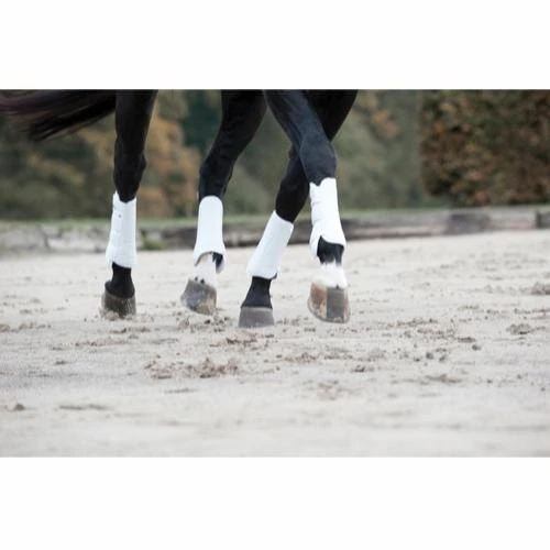 Catago Dressage Boots - White 2 Catago Dressage Boots - White - Image 2