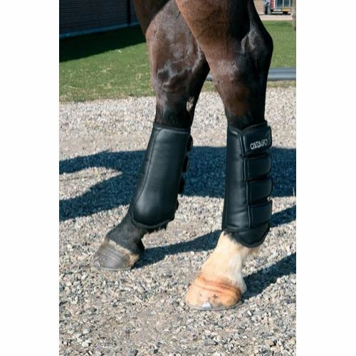 Catago Dressage Boots - Black 2 Catago Dressage Boots - Black - Image 2