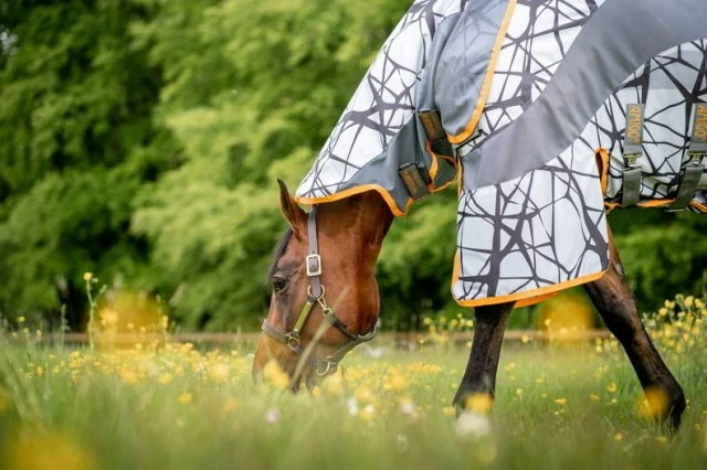 Amigo 3-in-1 CamoFly 2 Amigo 3-in-1 CamoFly - Image 2