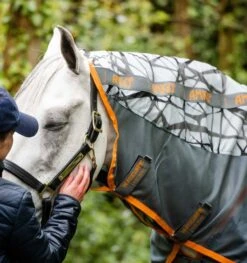 Amigo CamoFly -Equestrian Supply Store 15809c