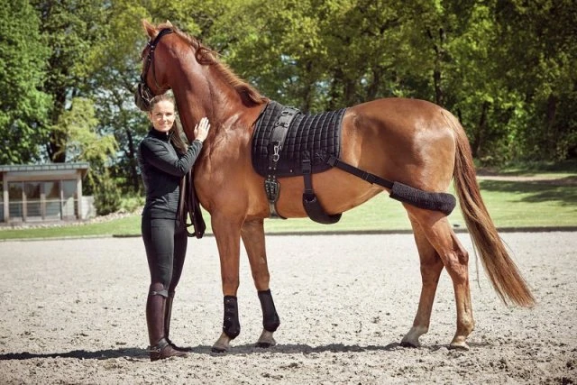 Catago FIR-Tech Training Saddle Pad 1 Catago FIR-Tech Training Saddle Pad