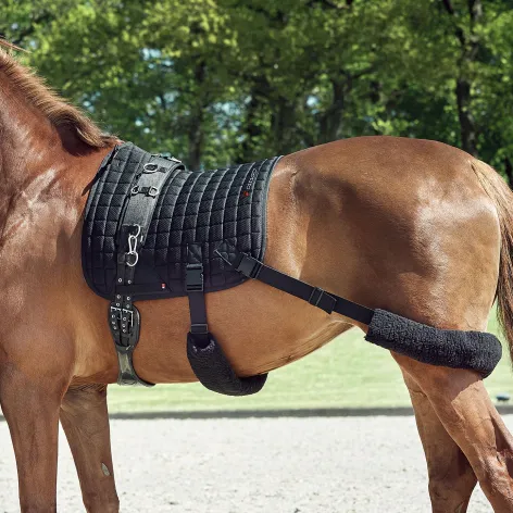 Catago FIR-Tech Training Saddle Pad 4 Catago FIR-Tech Training Saddle Pad - Image 4