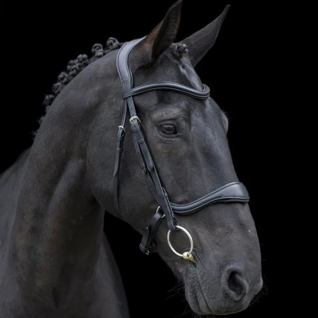 Ecorider Ecosoft Enigma Bridle 1 Ecorider Ecosoft Enigma Bridle