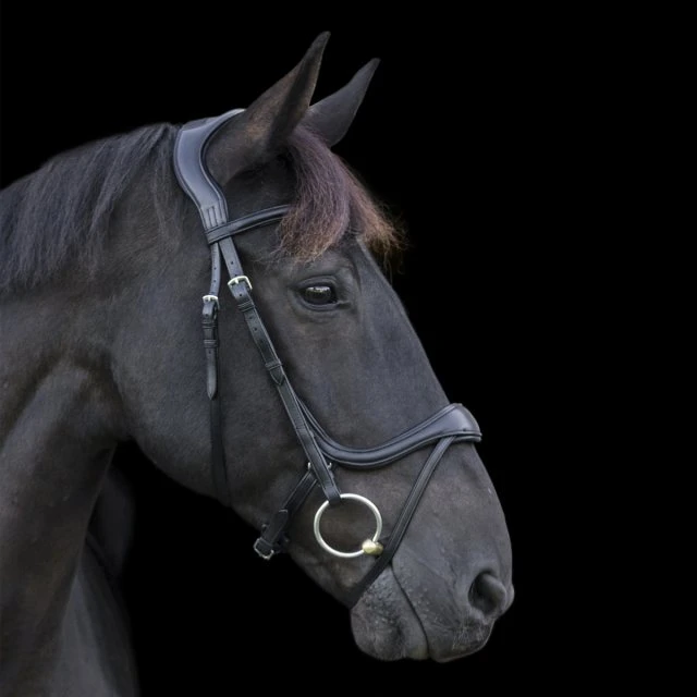 Ecorider Ecosoft Enigma Bridle 2 Ecorider Ecosoft Enigma Bridle - Image 2
