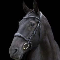 Ecorider Ecosoft Enigma Bridle 8 Ecorider Ecosoft Enigma Bridle -Equestrian Supply Store 16001c