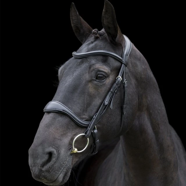 Ecorider Ecosoft Enigma Bridle 3 Ecorider Ecosoft Enigma Bridle - Image 3