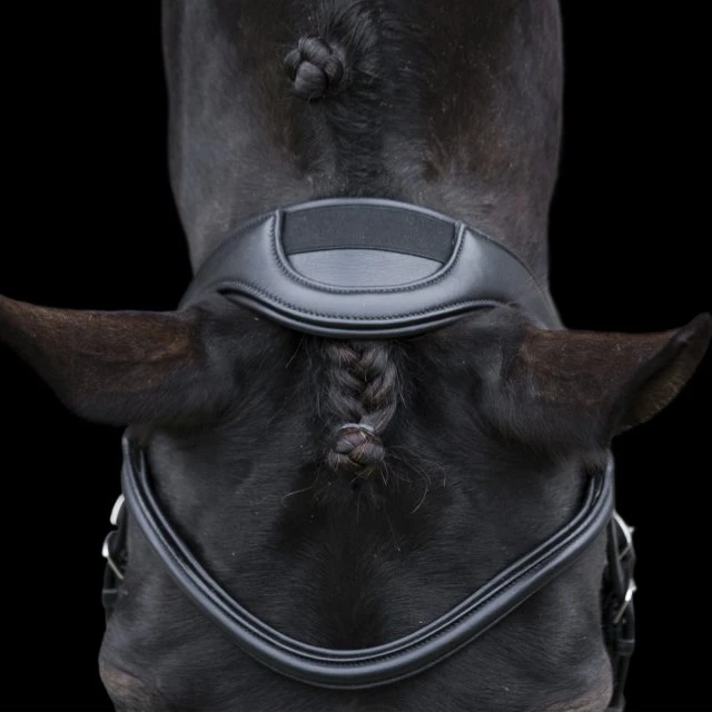Ecorider Ecosoft Enigma Bridle 4 Ecorider Ecosoft Enigma Bridle - Image 4