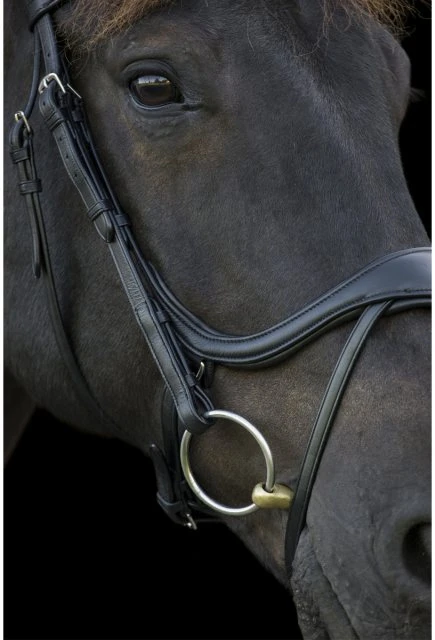 Ecorider Ecosoft Enigma Bridle 6 Ecorider Ecosoft Enigma Bridle - Image 6