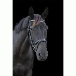 Ecorider Ecosoft Acclaim Bridle 7 Ecorider Ecosoft Acclaim Bridle -Equestrian Supply Store 16002c